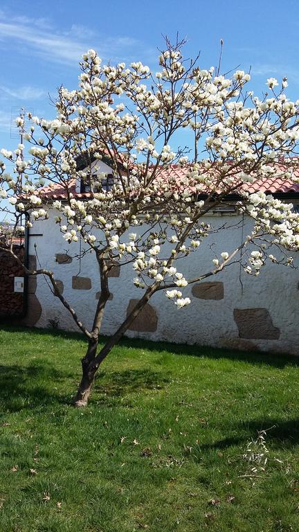 Casa Da Quinta De S. Martinho Hotel Вила Реал Екстериор снимка